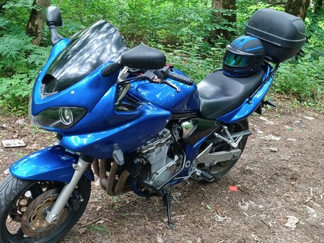 2001 Suzuki Bandit GSF 600, синий, 320000 рублей, вид 4