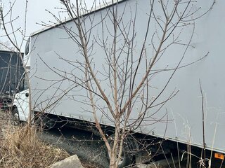 2023 ГАЗ ГАЗель Next, белый, 2682000 рублей, вид 4