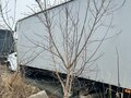 2023 ГАЗ ГАЗель Next, белый, 2682000 рублей - вид 3