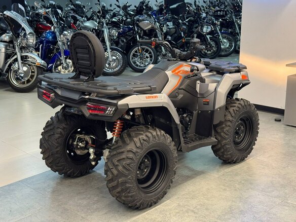 2022 Loncin XWolf 300, серебристый, 320000 рублей - вид 3