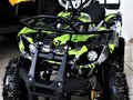 2021 Avantis Classic 800W, зелёный