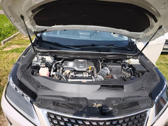 2020 Lexus RX 300 IV Рестайлинг, белый, 4275000 рублей - вид 10