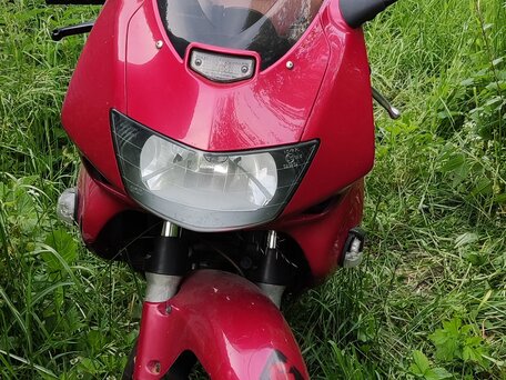 2001 Honda VTR 1000, красный, 250000 рублей, вид 4