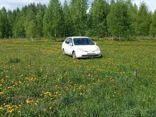 2002 Toyota Prius I Рестайлинг (XW10), белый, 450000 рублей, вид 2