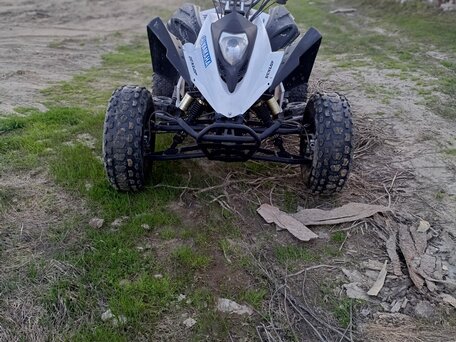 2015 ABM Scorpion 250, белый, 120000 рублей, вид 2