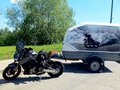 2022 Regulmoto Alien Monster, серый, 300000 рублей - вид 2