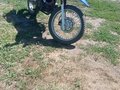 2019 Racer Panther, синий, 120000 рублей - вид 2