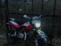 2024 Regulmoto Seven 125E, фиолетовый, 85000 рублей