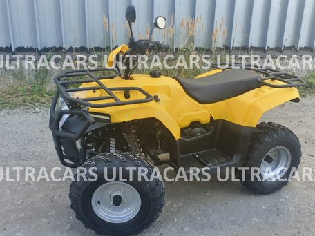 2026 Irbis ATV 200U, жёлтый, 235196 рублей, вид 2