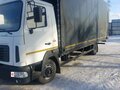 2021 МАЗ 4381, белый, 3600000 рублей - вид 5