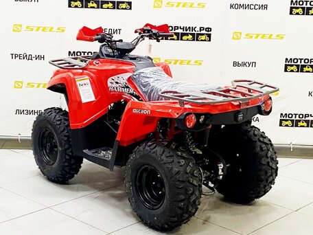 2025 Bison ATV200, красный, 219000 рублей, вид 2