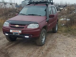 2004 Chevrolet Niva I, серебристый, 600000 рублей, вид 2