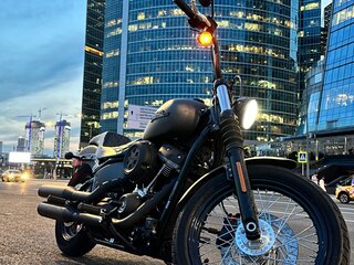 2019 Harley-Davidson Street Bob, серый, 1190000 рублей, вид 1