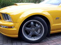 2005 Ford Mustang V, жёлтый - вид 11