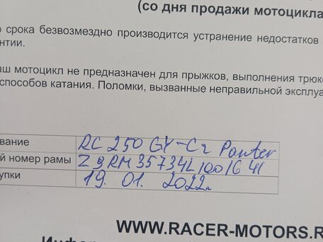 2020 Racer Panther, зелёный, 110000 рублей, вид 5