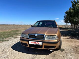 2001 Skoda Octavia I (A4) Рестайлинг, бежевый, 490000 рублей, вид 2