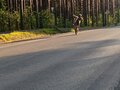 2020 Motoland MX 125, чёрный, 75000 рублей - вид 1