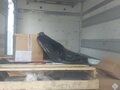 1998 Isuzu Elf (N-series), белый, 900000 рублей - вид 3