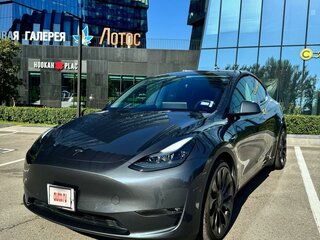 2022 Tesla Model Y Standard I, серый, 7800000 рублей, вид 1