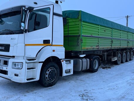 2020 КамАЗ 5490 NEO, белый, 4700000 рублей, вид 4