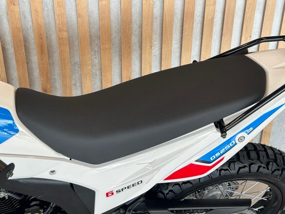 2026 Loncin DS250, белый, 258000 рублей - вид 12