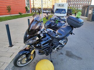 2007 Triumph Tiger 1050, чёрный, 520000 рублей, вид 5