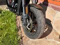 2017 Harley-Davidson Street Rod, зелёный, 520000 рублей - вид 5