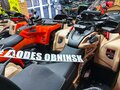 2025 AODES (Odes) Pathcross 650, красный, 1232000 рублей - вид 3