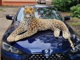 2021 BMW 4 серии 420d xDrive G22, G23, G26, синий, 5500000 рублей, вид 5