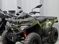 2024 Loncin XWolf 200, зелёный - вид 8