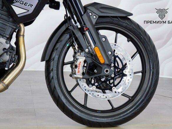 2025 Triumph Tiger 1200, чёрный, 1750000 рублей - вид 10