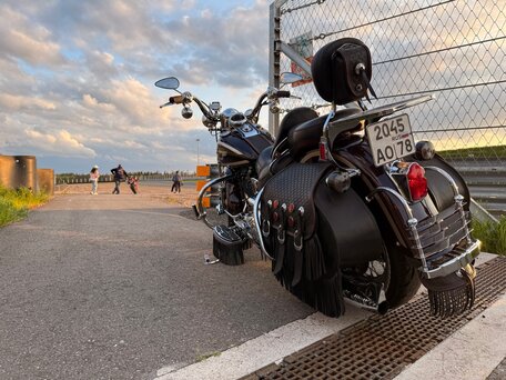 1998 Harley-Davidson Springer Softail, пурпурный, 2150000 рублей, вид 4