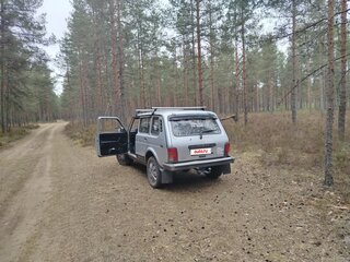 2010 Lada (ВАЗ) 2131 (4x4) 213105 I, серебристый, 500000 рублей, вид 4