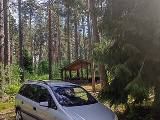 2002 Opel Zafira A, серебристый, 370000 рублей, вид 1