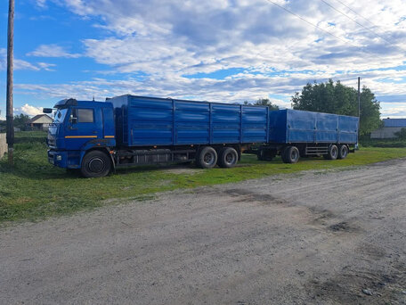 2014 КамАЗ 65117, синий, 2700000 рублей, вид 2