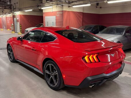 2023 Ford Mustang VII, красный, 6499999 рублей, вид 2