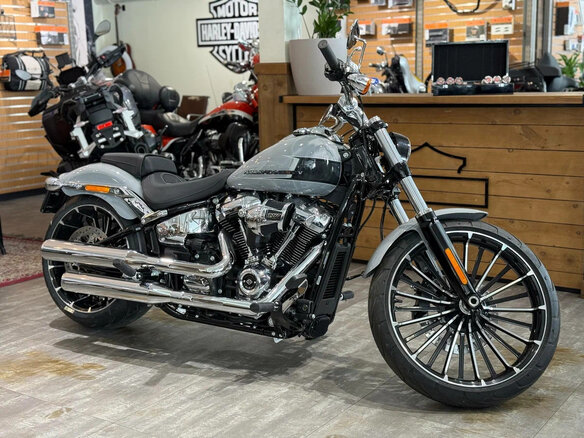 2024 Harley-Davidson Breakout, серебристый, 3300000 рублей - вид 5