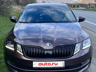 2017 Skoda Octavia III (A7) Рестайлинг, коричневый, 1798888 рублей, вид 1