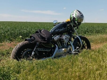 2006 Harley-Davidson Sportster 883, чёрный, 750000 рублей, вид 1