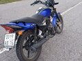 2021 Racer Tiger, синий, 90000 рублей - вид 3