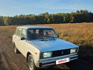 2002 Lada (ВАЗ) 2104, белый, 255000 рублей, вид 1