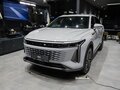 2025 Exeed RX, серый