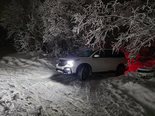 2021 GAC GS8 I, белый, 3050000 рублей, вид 2