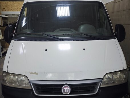 2010 Fiat Professional Ducato, белый, 650000 рублей, вид 1