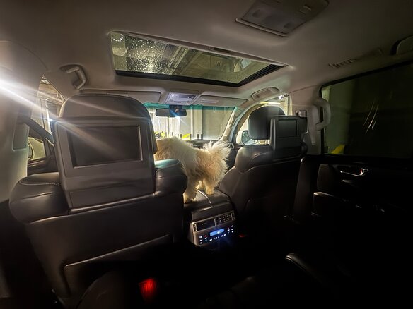 2012 Lexus LX 570 III Рестайлинг, серебристый, 6500000 рублей - вид 23