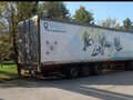 2007 Pacton XLD, красный, 710000 рублей