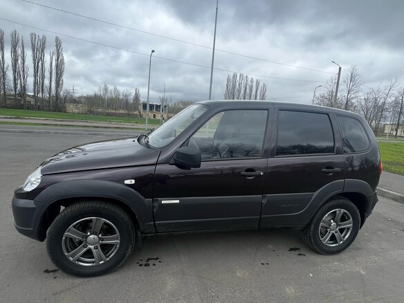 2013 Chevrolet Niva I Рестайлинг, коричневый, 550000 рублей - вид 2