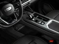 2025 Geely Okavango I Рестайлинг, серый - вид 10