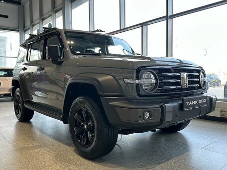 Tank 300 I