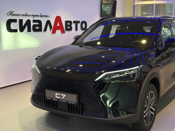 2026 Omoda C7, чёрный - вид 6